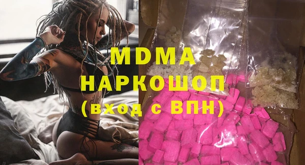крисы Бородино