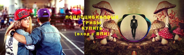 МДМА Богданович