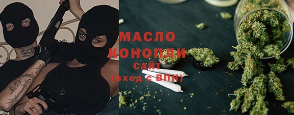 крисы Бородино