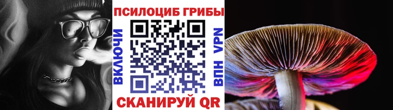 Псилоцибиновые грибы GOLDEN TEACHER  Балтийск 