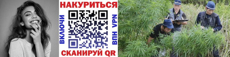 Каннабис THC 21% Балтийск